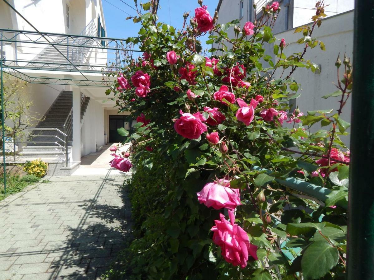 Lemon Tree Apartment *
